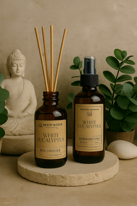 White Eucalyptus - REED DIFFUSER – Fresh Clean Aromatherapy Scent -- by Moon Water Apothecary!
