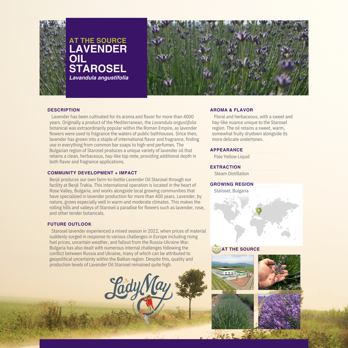 Lavender Tallow Gift Set - Premium Relaxation Bundle | Skincare, Candle & Soap