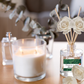 Nature & Earth Reed Diffuser Collection – Forest-Inspired Aromas with Earthy Greens, Woods & Misty Air