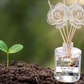 Nature & Earth Reed Diffuser Collection – Forest-Inspired Aromas with Earthy Greens, Woods & Misty Air