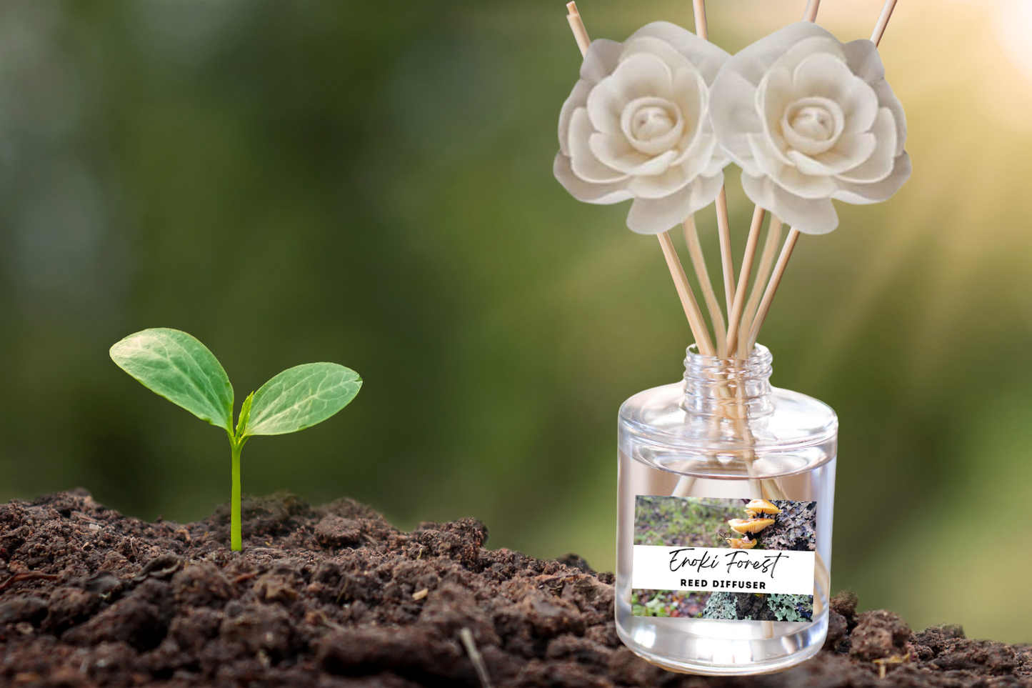 Nature & Earth Reed Diffuser Collection – Forest-Inspired Aromas with Earthy Greens, Woods & Misty Air