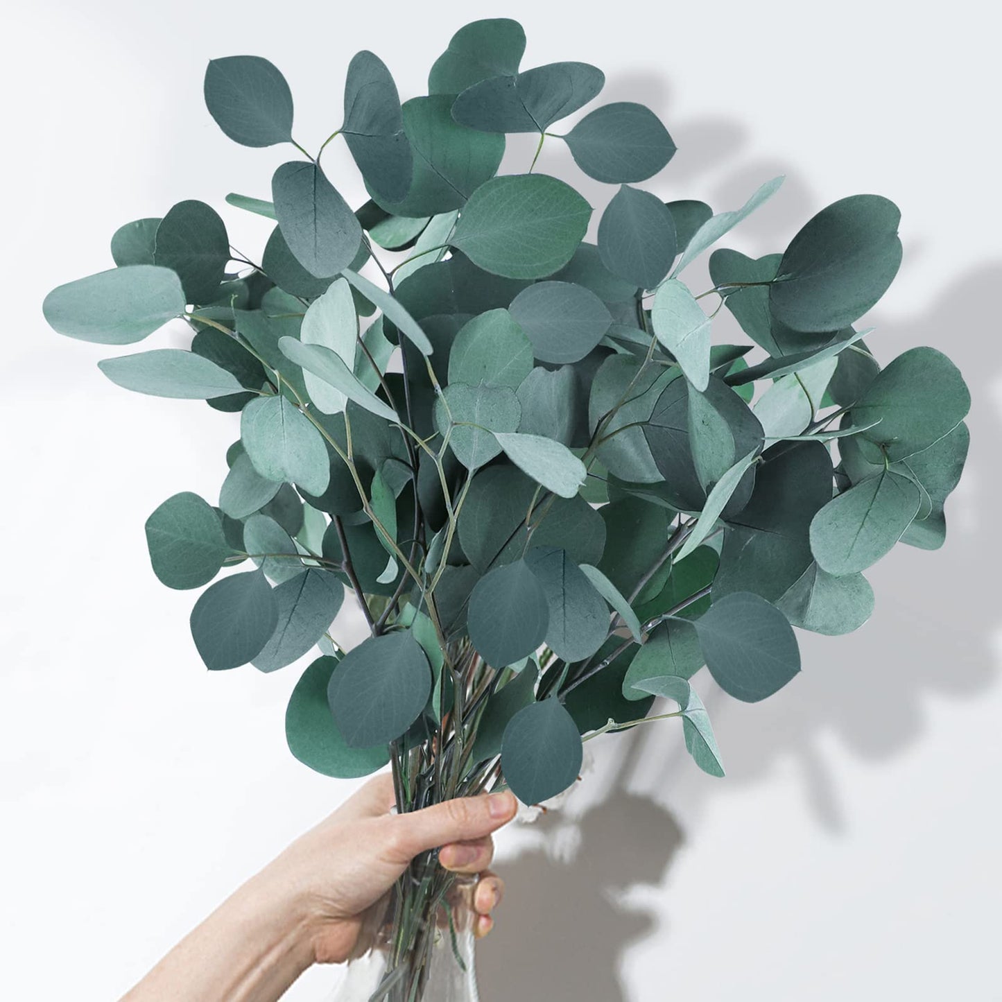White Eucalyptus - REED DIFFUSER  – Fresh Clean Aromatherapy Scent -- by Moon Water Apothecary!