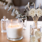 Nature & Earth Reed Diffuser Collection – Forest-Inspired Aromas with Earthy Greens, Woods & Misty Air