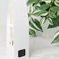 Nature & Earth Reed Diffuser Collection – Forest-Inspired Aromas with Earthy Greens, Woods & Misty Air